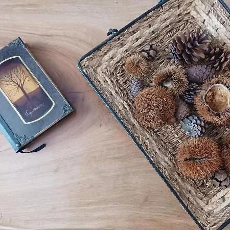 Daire αλώνι Nimfasía