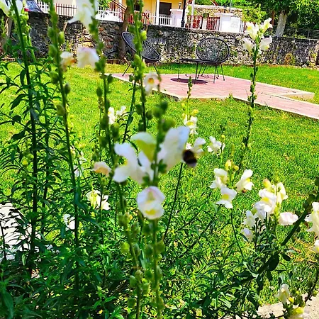 αλώνι * Nimfasía