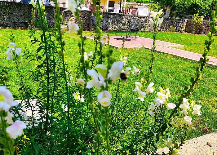 αλώνι * Nimfasia